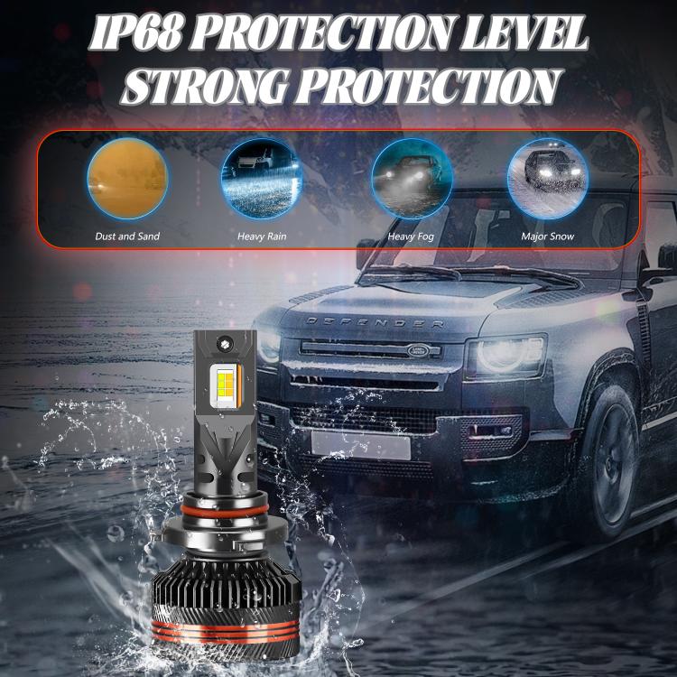 EDA008030401_8.jpg@09557be161dd7411bef6e2194a0ccc0a