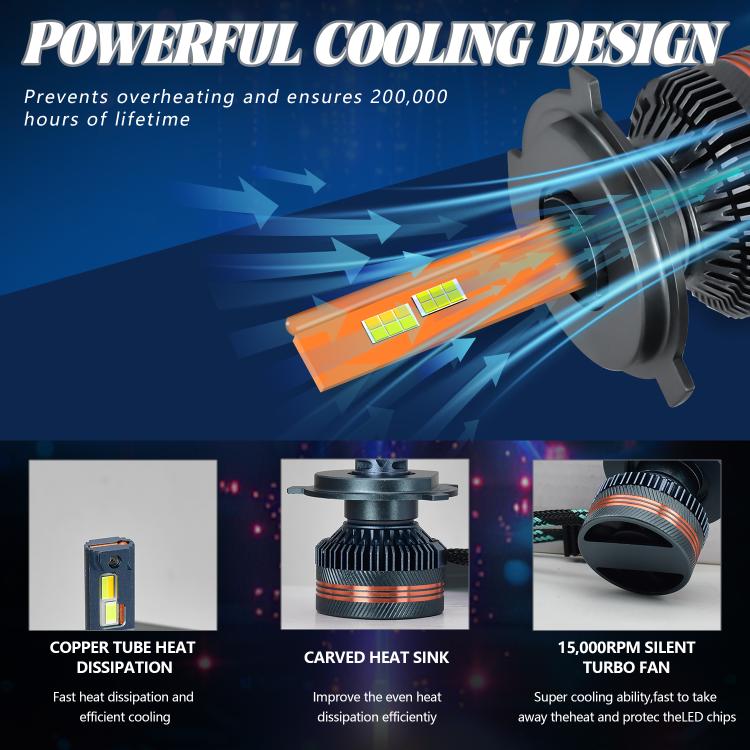 EDA008030404_4.jpg@ba78ff61652422315688fd5875483401