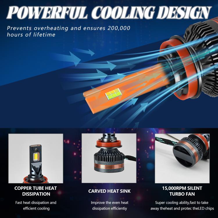 EDA008030406_4.jpg@dce450462fd40c291bd567a4952e6b11